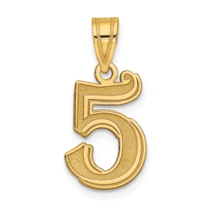 14k Yellow Gold Polished Etched Finish Number 5 Charm Pendant