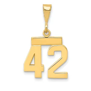 14k yellow gold small polished number 42 charm