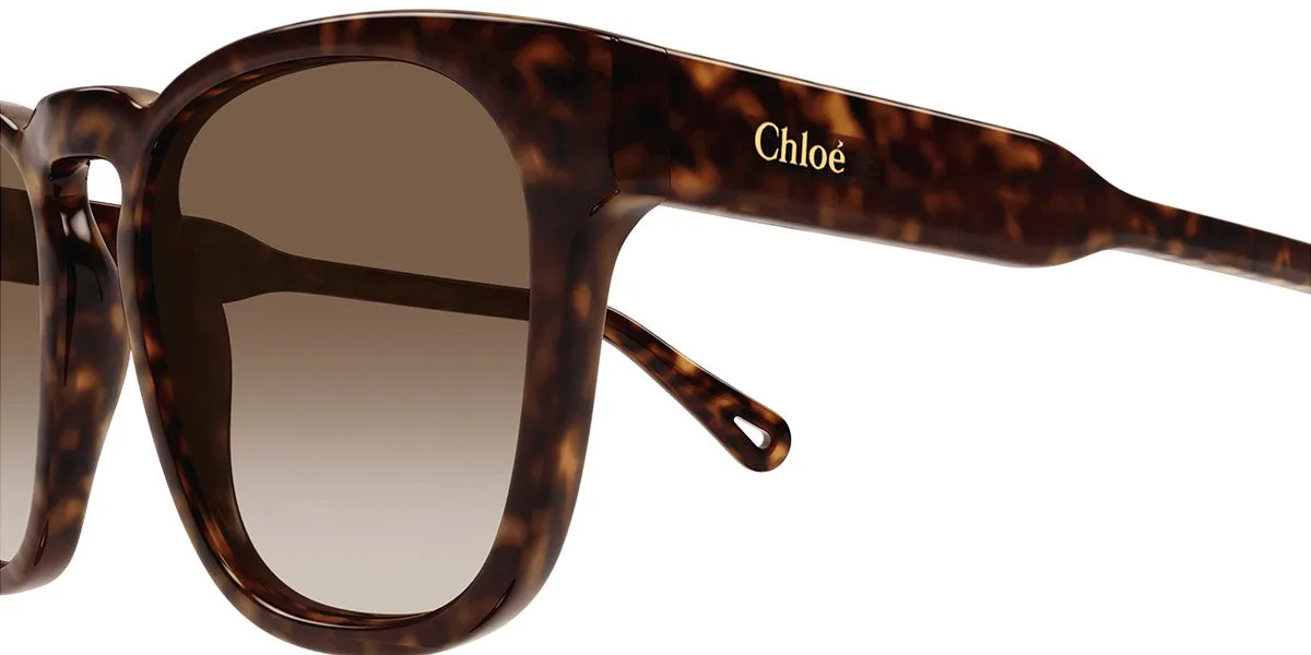 Chloé® CH0160S