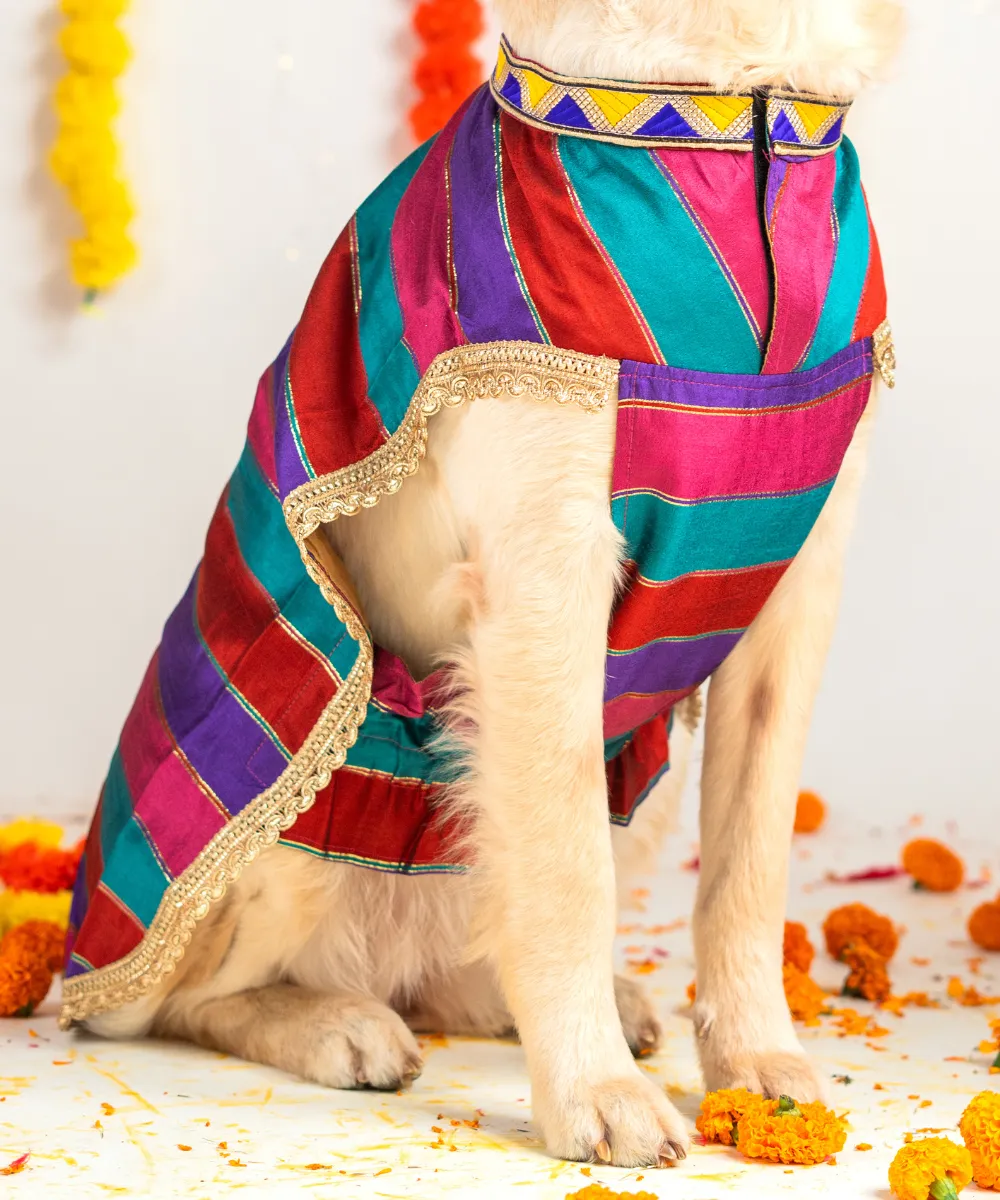 Dog Multi-coloured Kurta