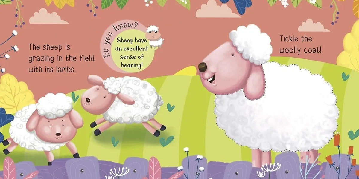 Om Books International  Board Book- Touch and Feel: Farm Friends: Touch and feel series